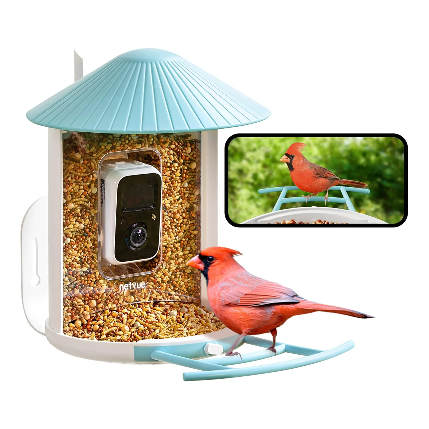 Birdfy Feeder 1 Smart Bird Feeder with Camera and AI by Subscription - Image 4