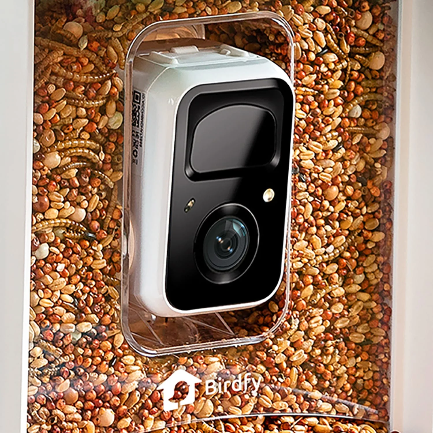 Birdfy Feeder 1 Smart Bird Feeder with Camera and Free AI Lifetime Subscription - Image 2
