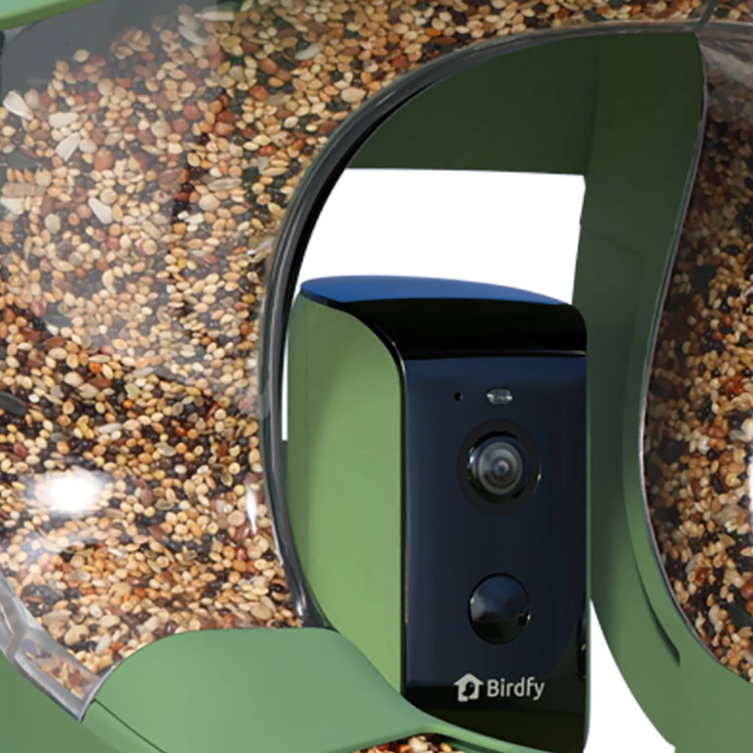 Birdfy Feeder 2 with Camera, Solar Panel, and AI by Subscription - Image 2