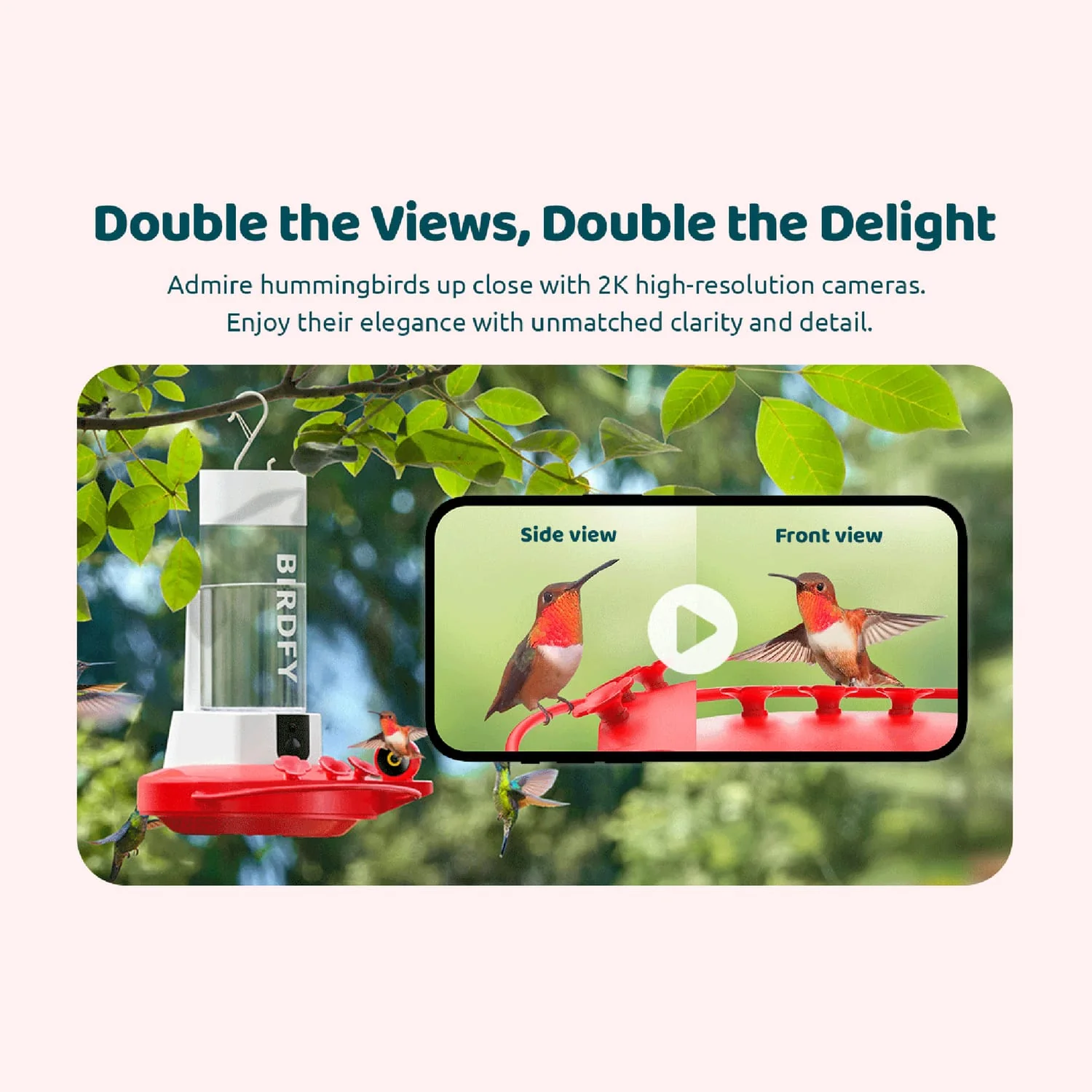 Birdfy Smart Hummingbird Feeder Duo with 2 Cameras, Solar Panel, and Free AI Lifetime Subscription - Image 2
