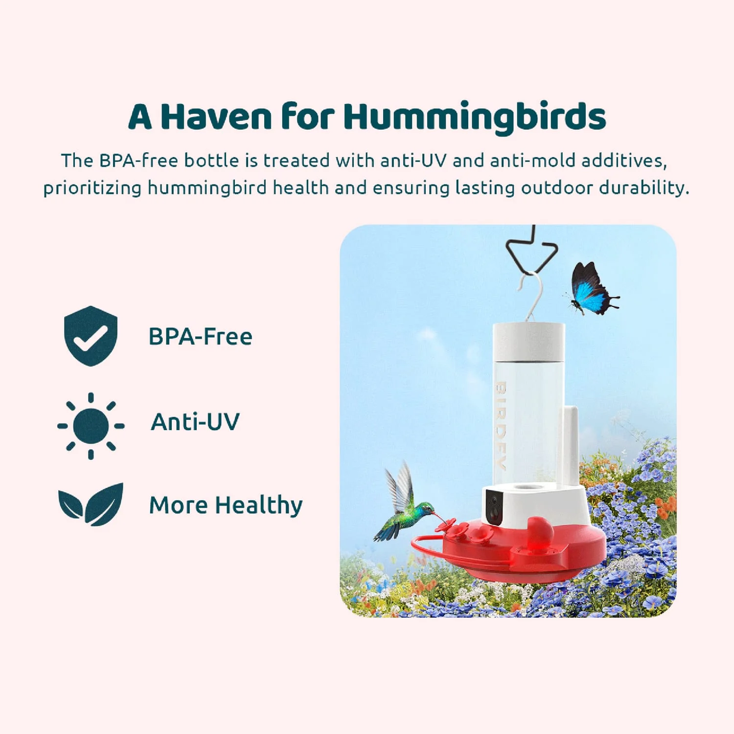 Birdfy Smart Hummingbird Feeder Duo with 2 Cameras, Solar Panel, and Free AI Lifetime Subscription - Image 3