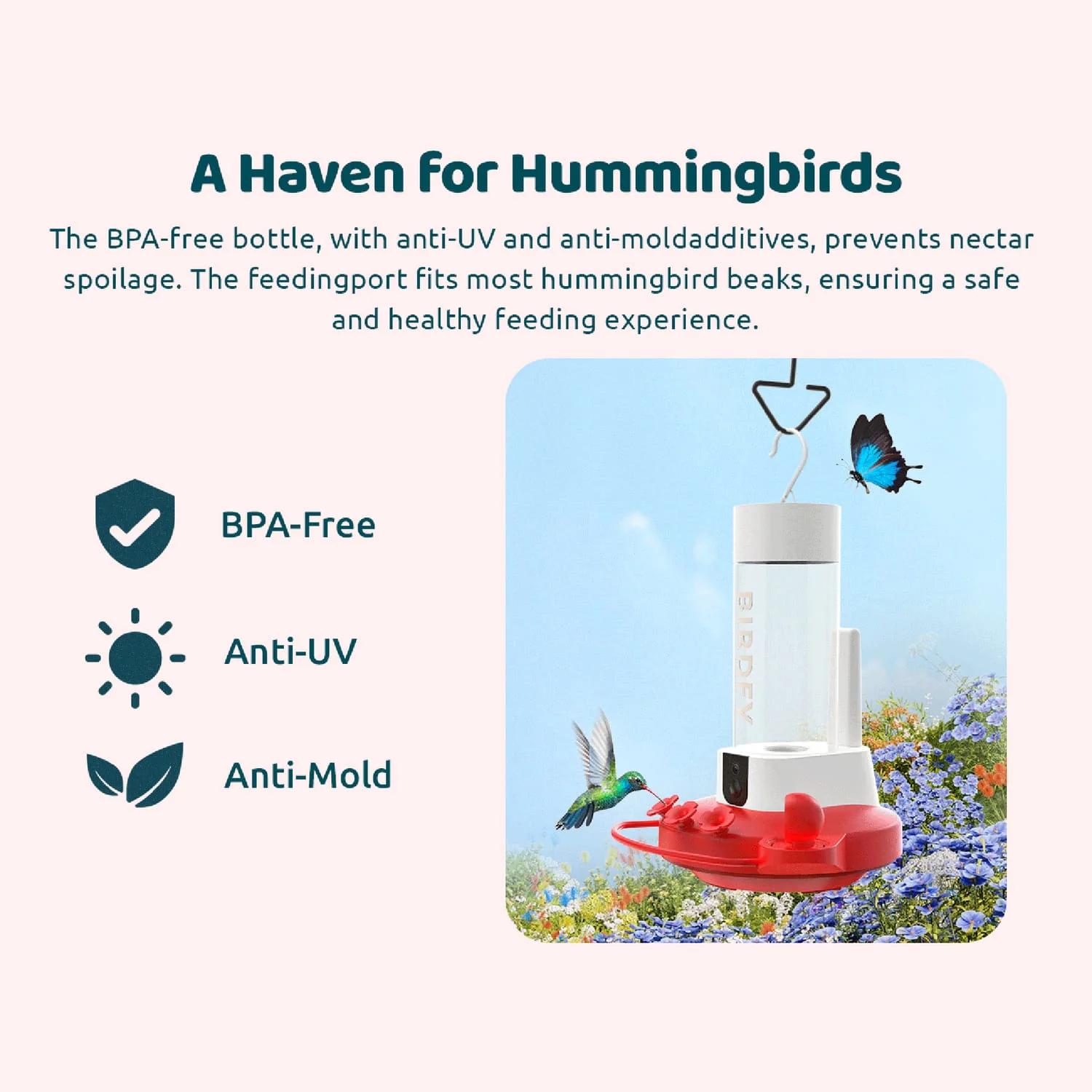 Birdfy Smart Hummingbird Feeder Duo with 2 Cameras, Solar Panel, and Free AI Lifetime Subscription - Image 4