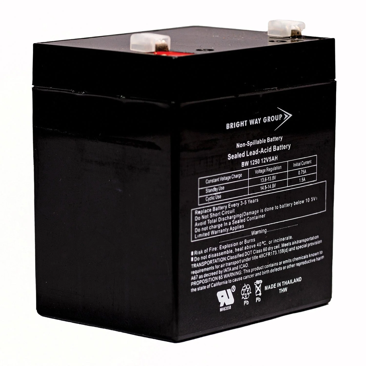 Bright Way Group BWG 1250 F1 Battery - Image 2