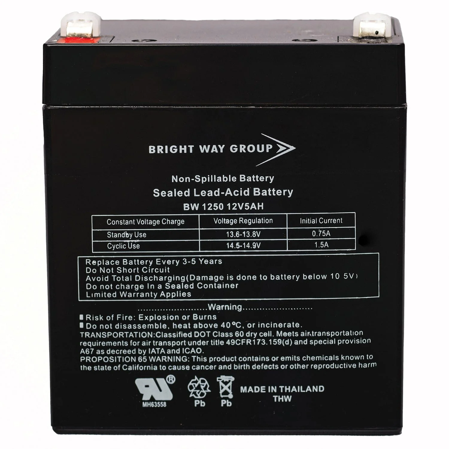 Bright Way Group BWG 1250 F1 Battery - Image 5