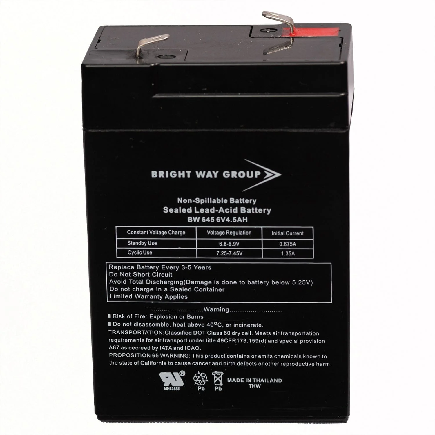 Bright Way Group 6V 4.5Ah Sealed Lead Acid Replacement Battery (BWG 645 F1) - Image 4