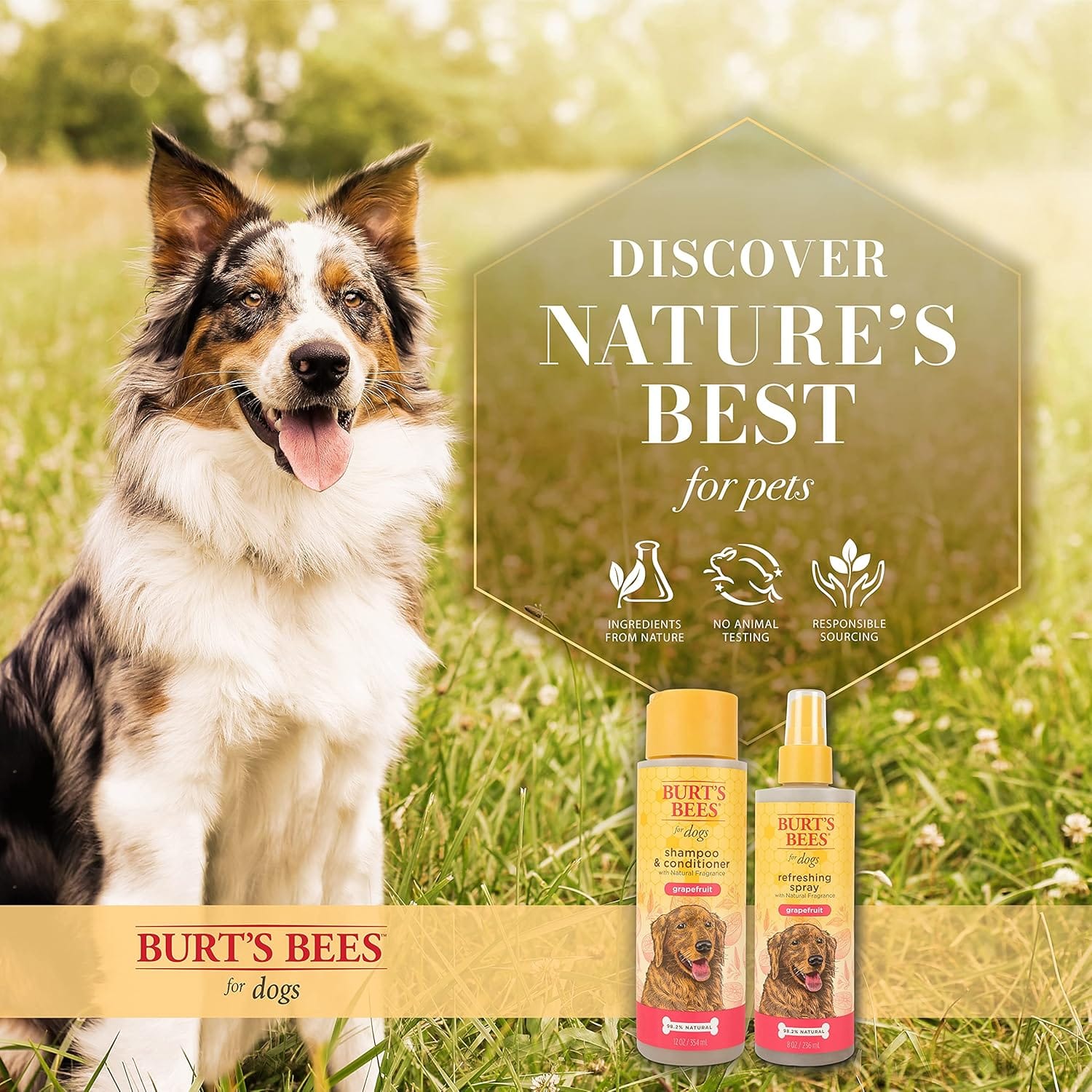 Burt's Bees Dog Refreshing Spray, Grapefruit Scent, pH Balanced, Formulated Without Sulfates and Parabens, 8 oz - Image 5