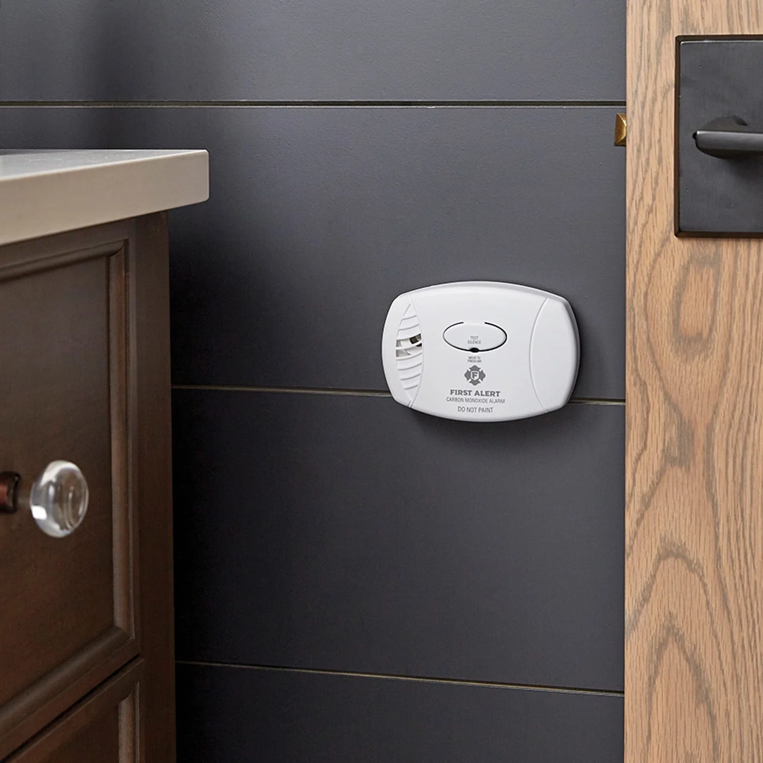 First Alert Battery-Powered Carbon Monoxide Alarm - Image 2