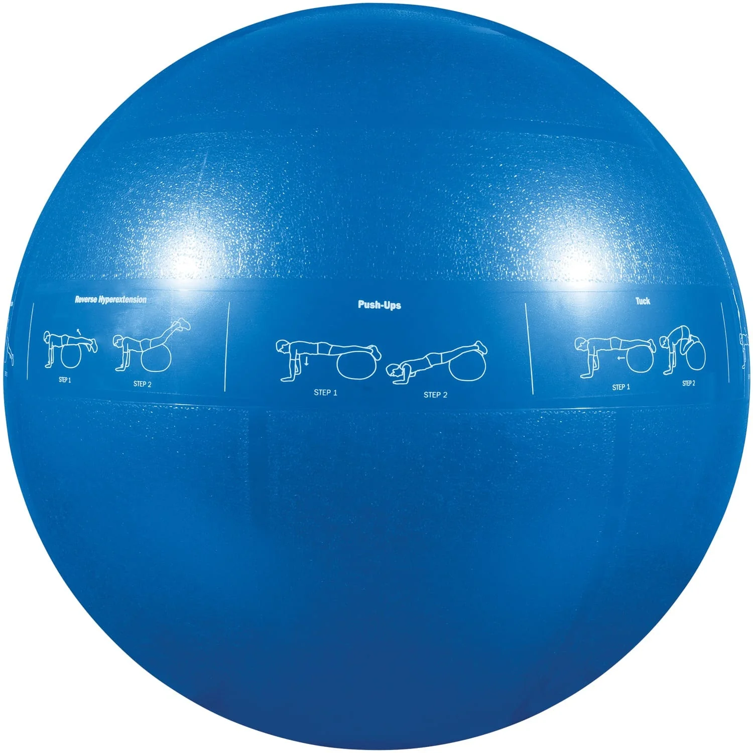 GoFit Pro Grade Stability Guide Ball with Pump, 55cm, Blue