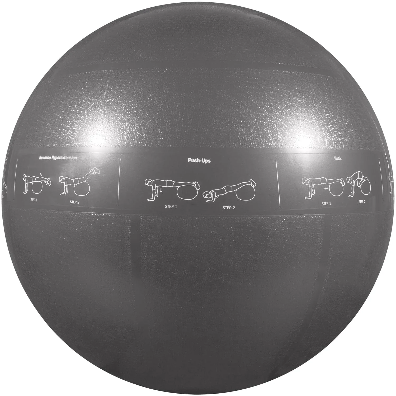 GoFit Pro Grade Stability Guide Ball with Pump, 75cm, Silver