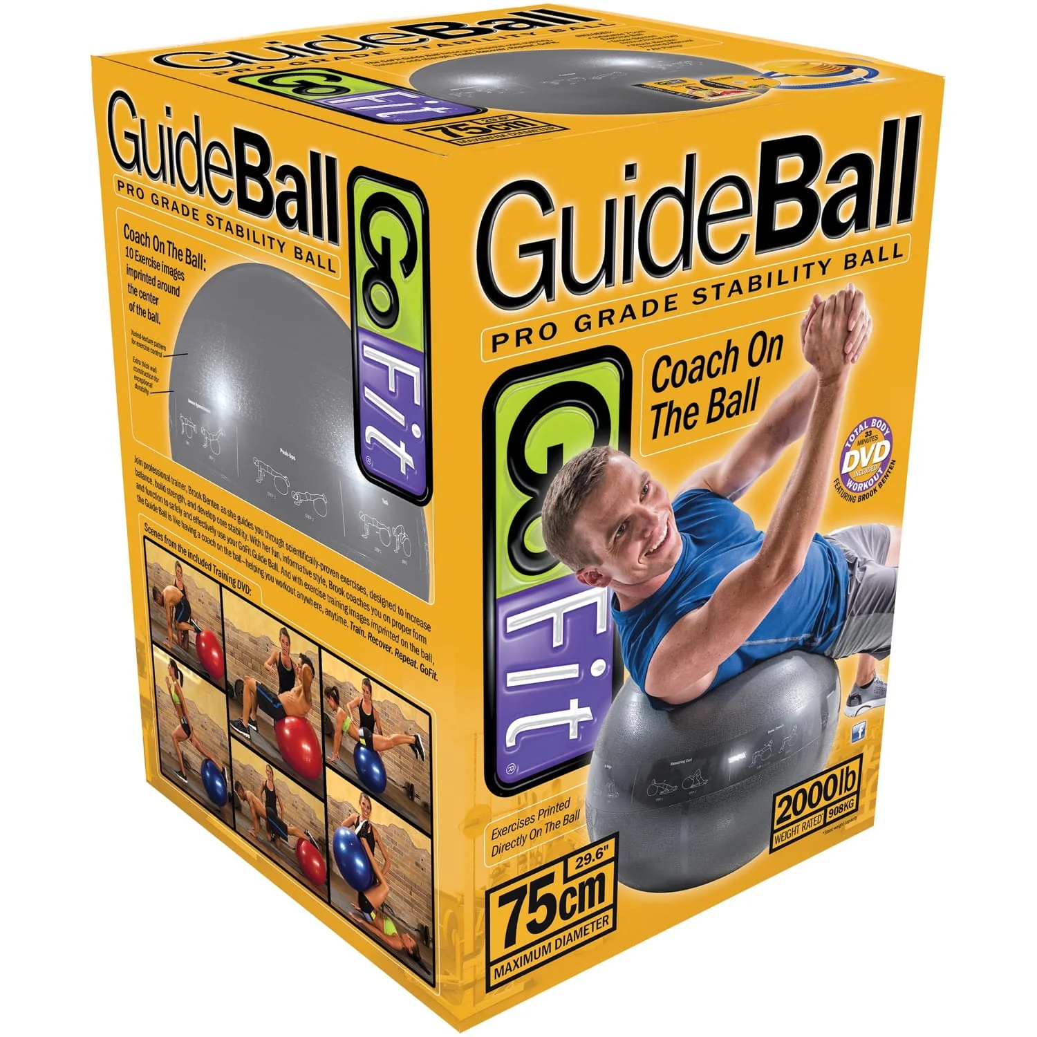 GoFit Pro Grade Stability Guide Ball with Pump, 75cm, Silver - Image 3