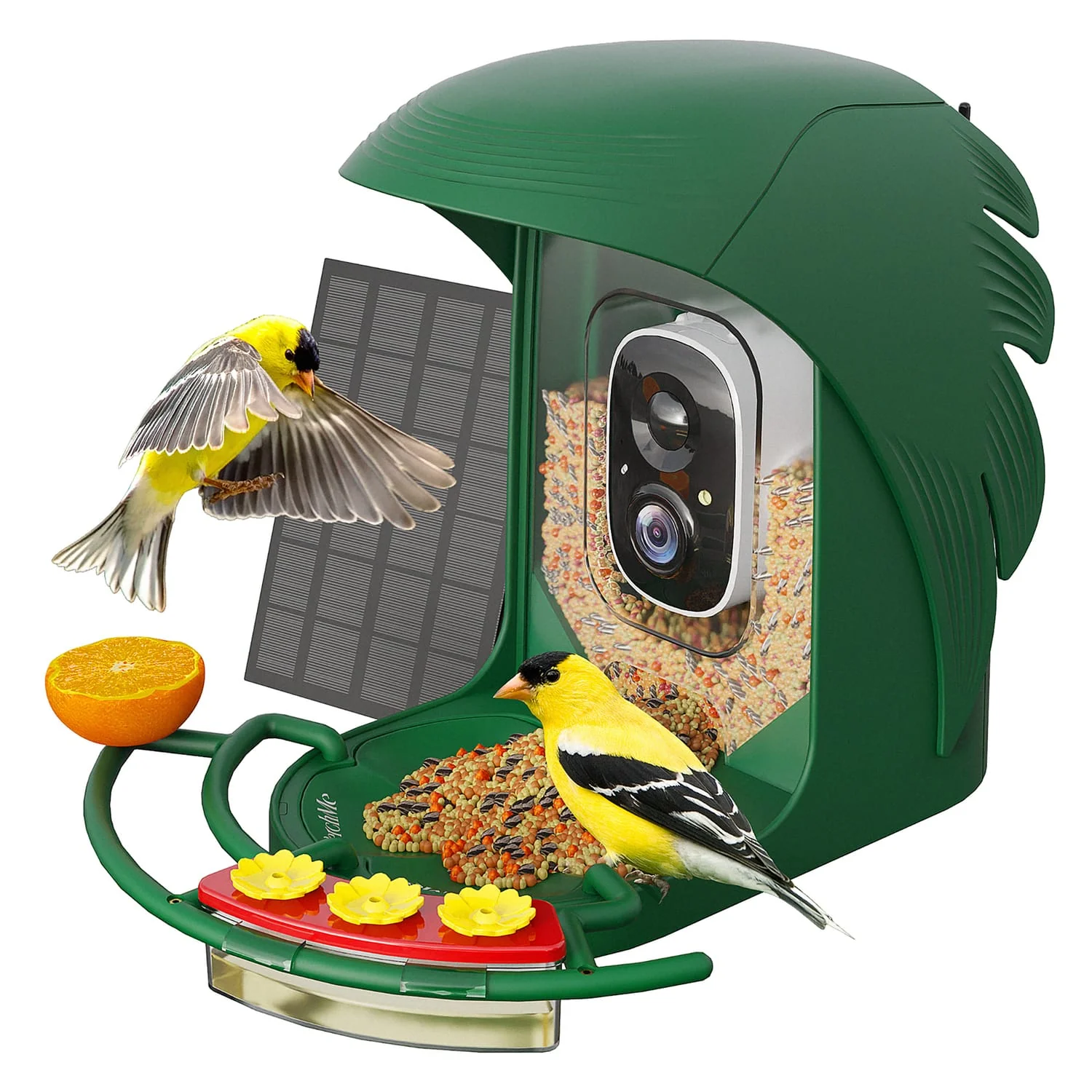 PerchMe AI-Recognition Smart Bird Feeder with Camera, Solar Powered, Forest Green - Image 4