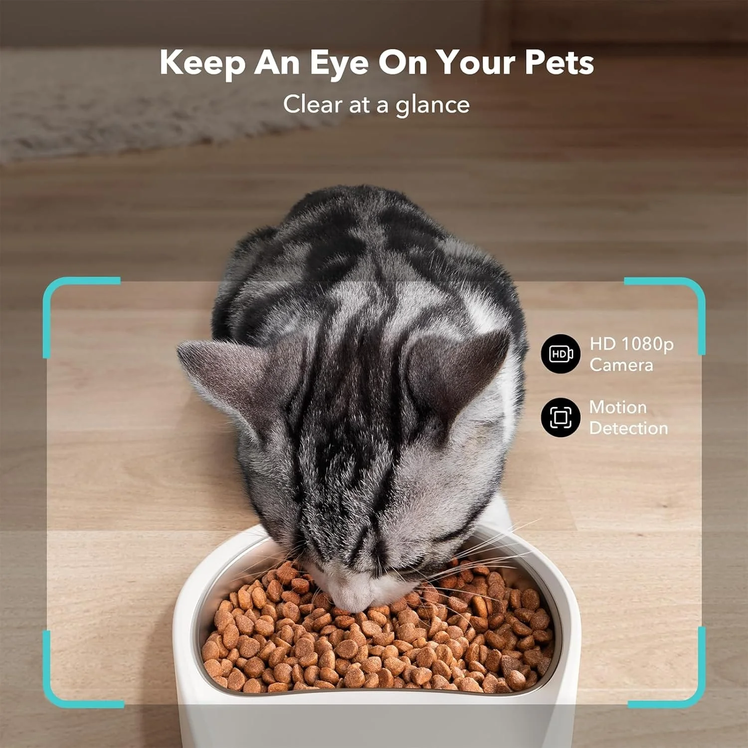 Petlibro Automatic Single Tray Smart Pet Feeder with Video Camera, Night Vision, Motion & Sound Alerts, White - Certified Refurbished - Image 5