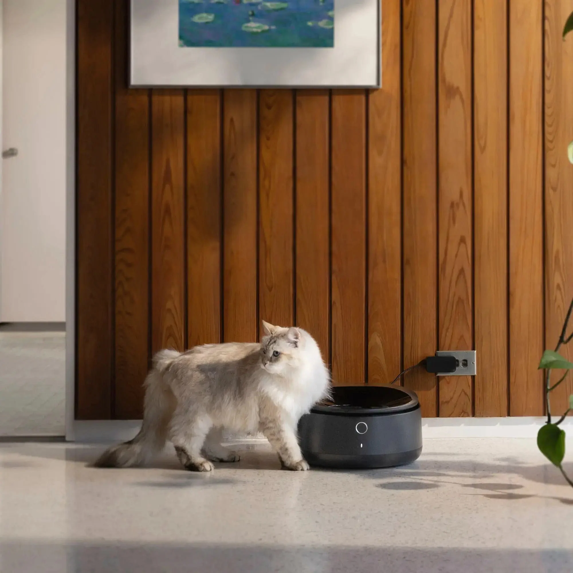 Petlibro Polar App Control Smart Wet Food Pet Feeder, 3 Meals, Anti-Pinch, Black - Certified Refurbished - Image 11