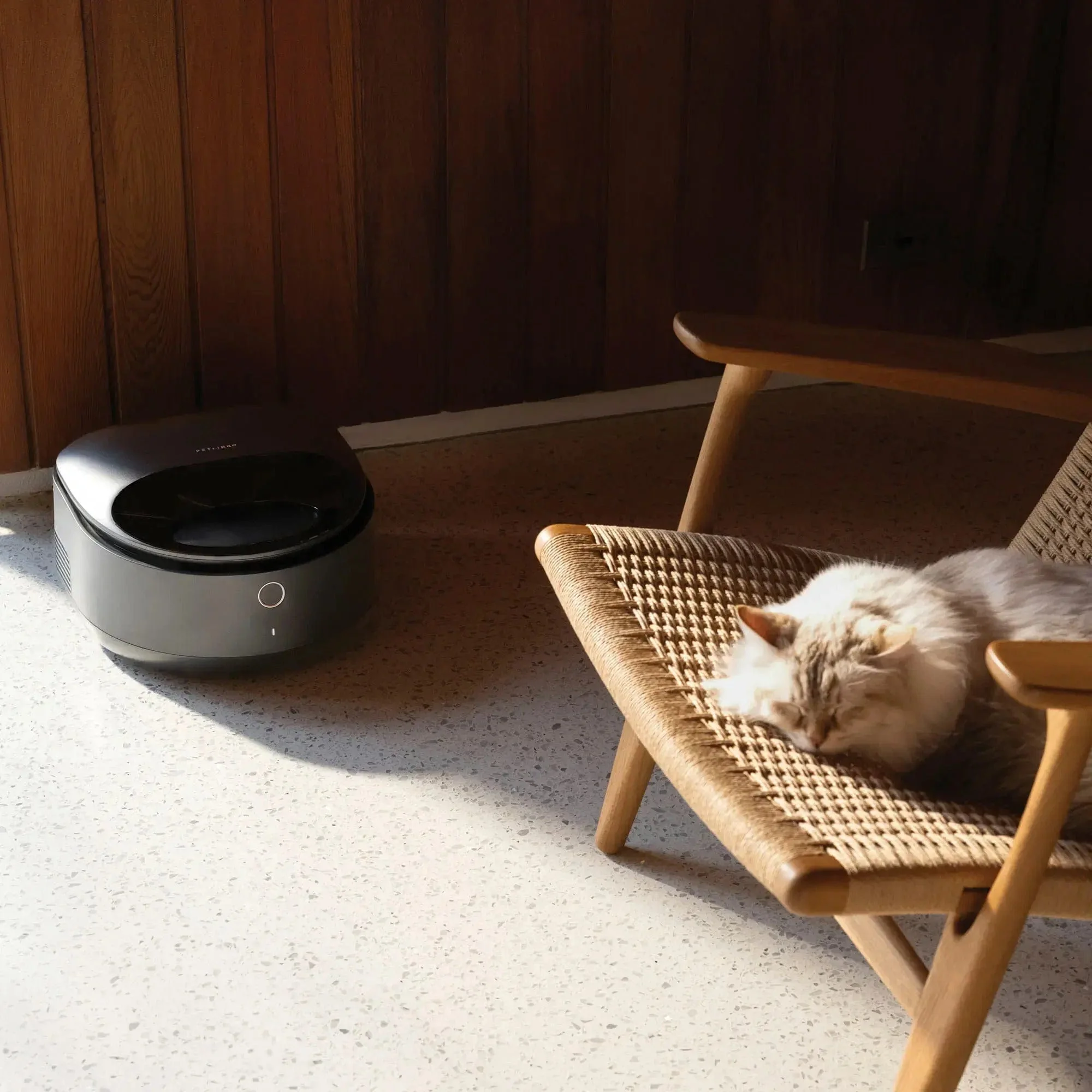 Petlibro Polar App Control Smart Wet Food Pet Feeder, 3 Meals, Anti-Pinch, Black - Certified Refurbished - Image 12