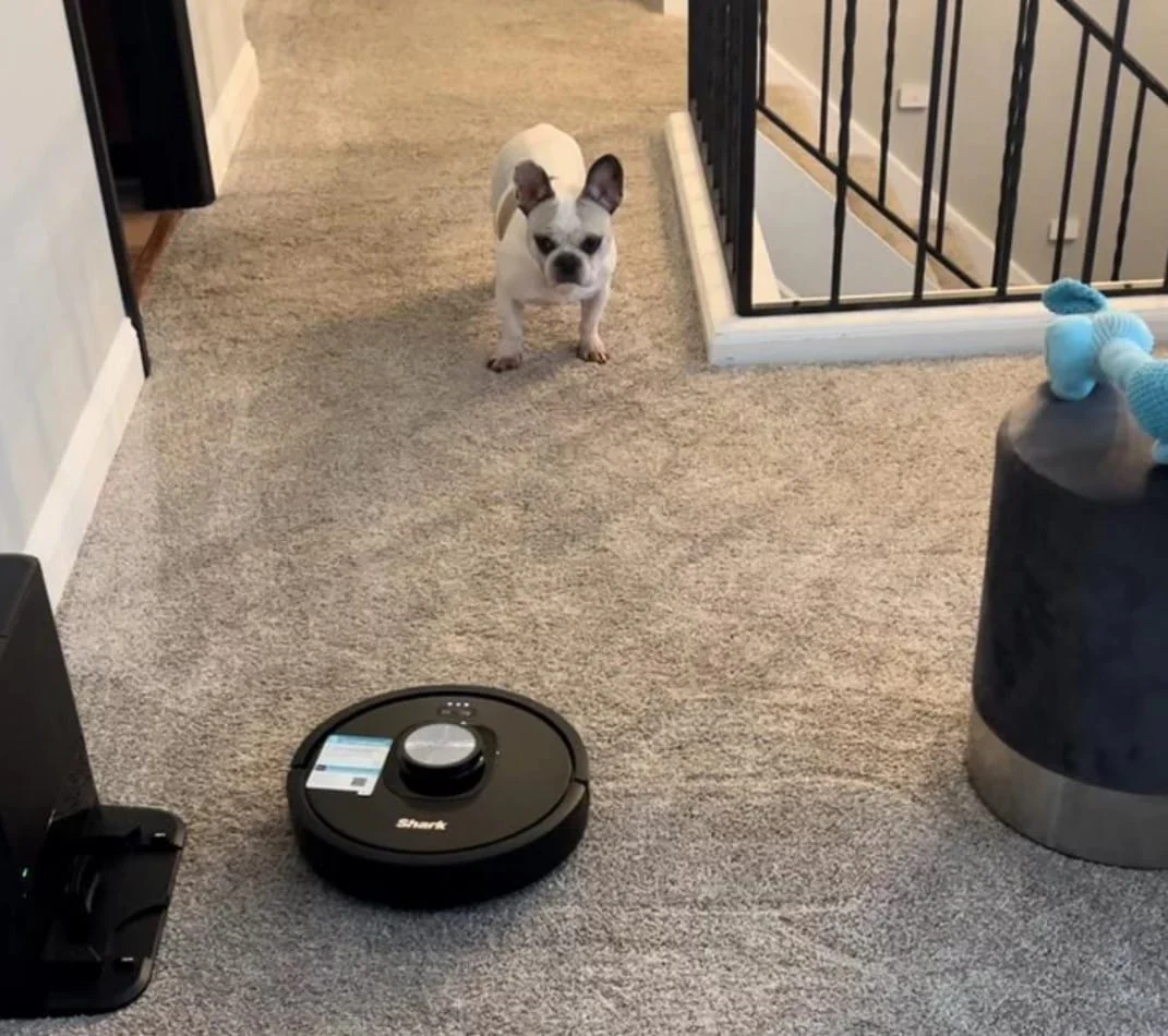 Shark Matrix Self Empty Robot Vacuum for Carpets & Hardfloors with 45-Day Capacity Self-Cleaning Bagless Base - Open Box - Image 10