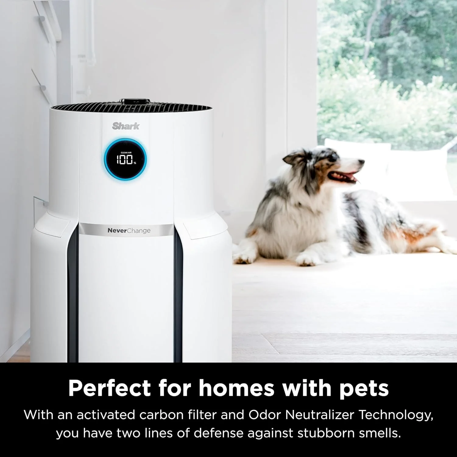 Shark NeverChange Air Purifier MAX, 1400 sq.ft., 5-Year Anti-Allergen HEPA Filter Life, Odor Neutralizer, Ultra Quiet, White - Certified Refurbished - Image 7