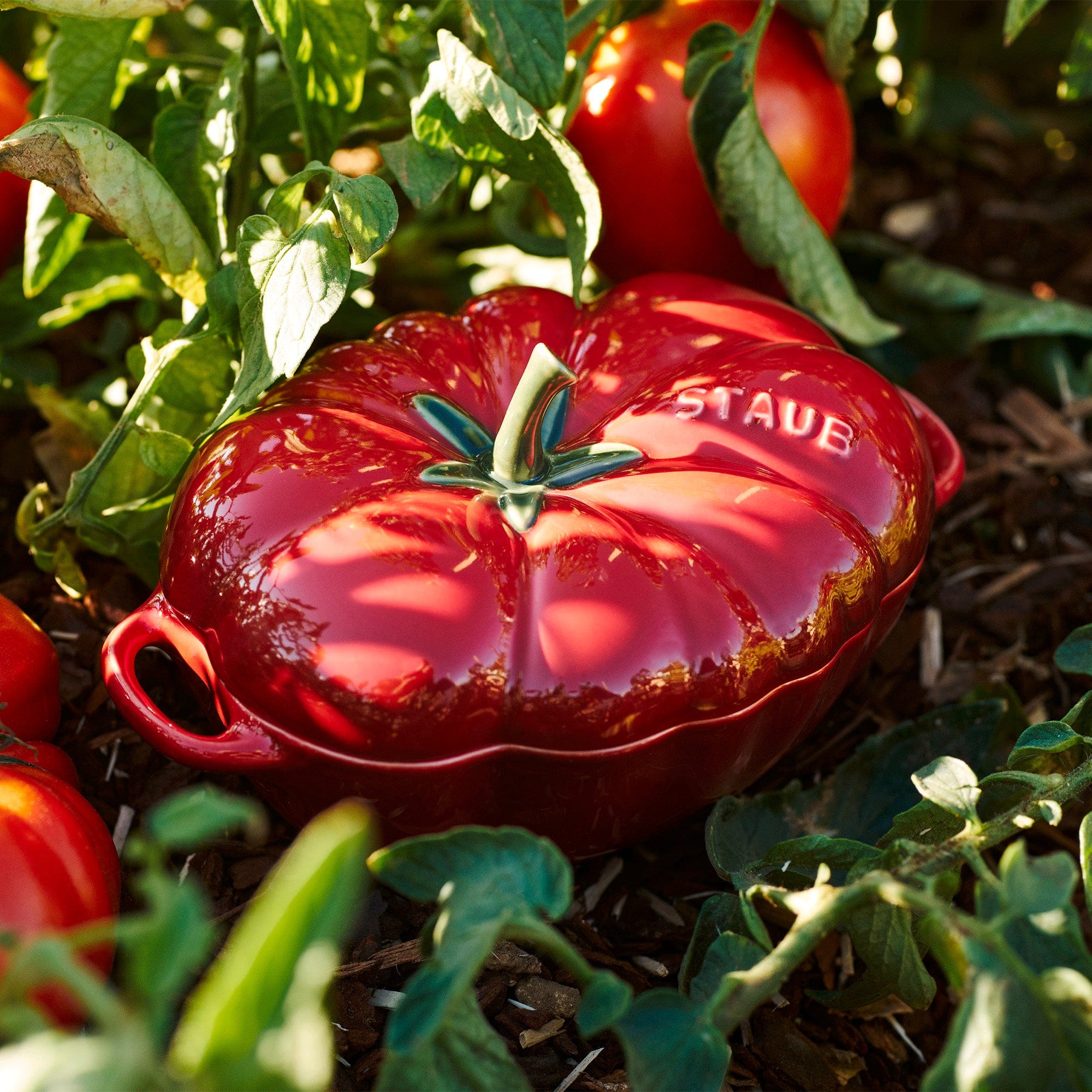 Staub Ceramic 16-oz Petite Tomato Cocotte - Cherry - Image 5