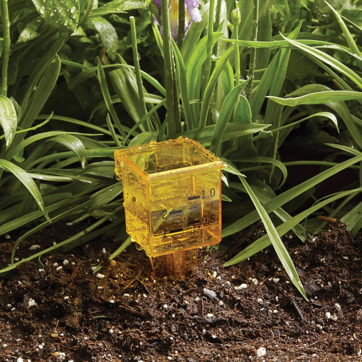 Taylor Precision Products 2-in-1 Rain and Sprinkler Gauge - Image 2