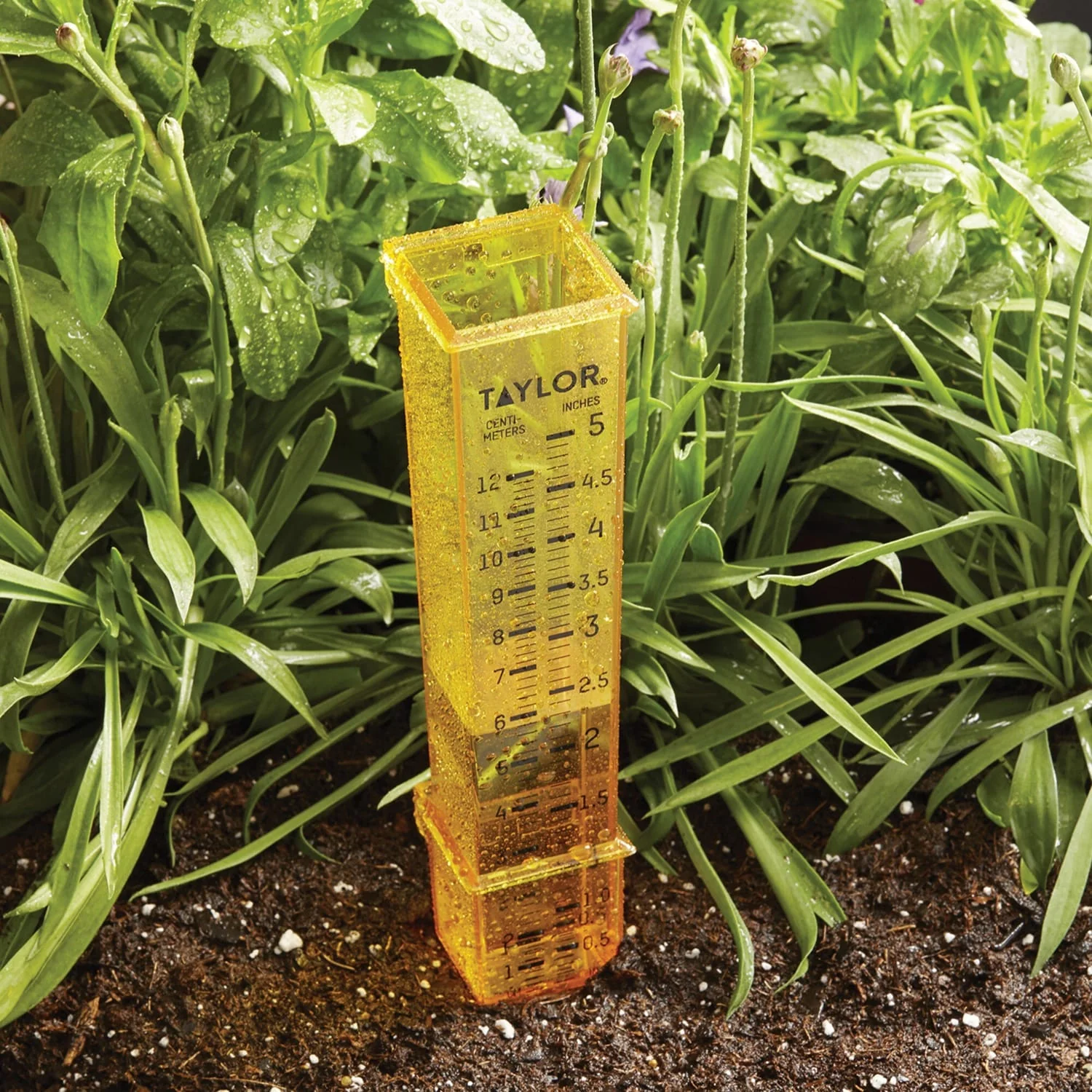 Taylor Precision Products 2-in-1 Rain and Sprinkler Gauge - Image 3
