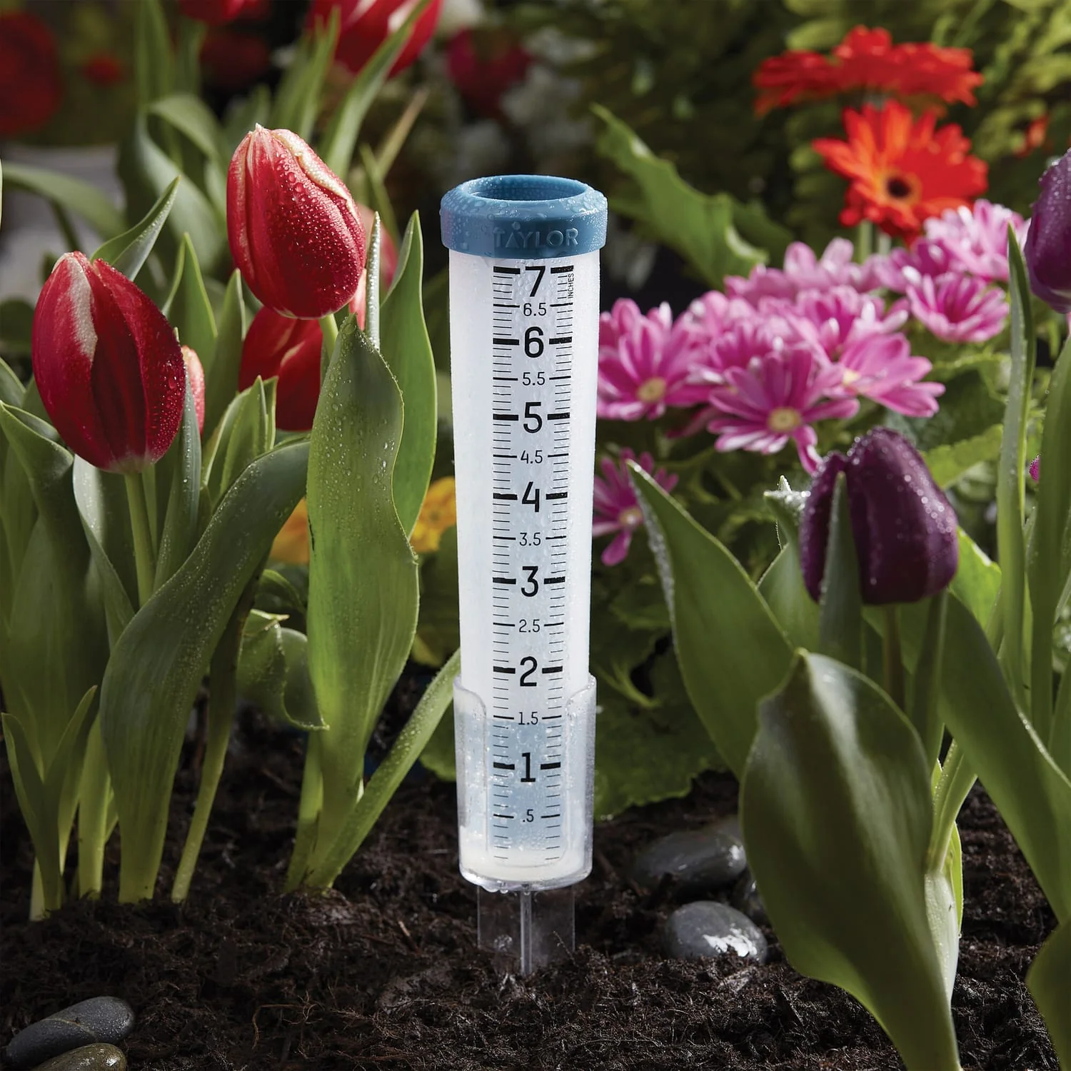 Taylor Precision Products 7-In. Capacity Silicone Rain Gauge - Image 3
