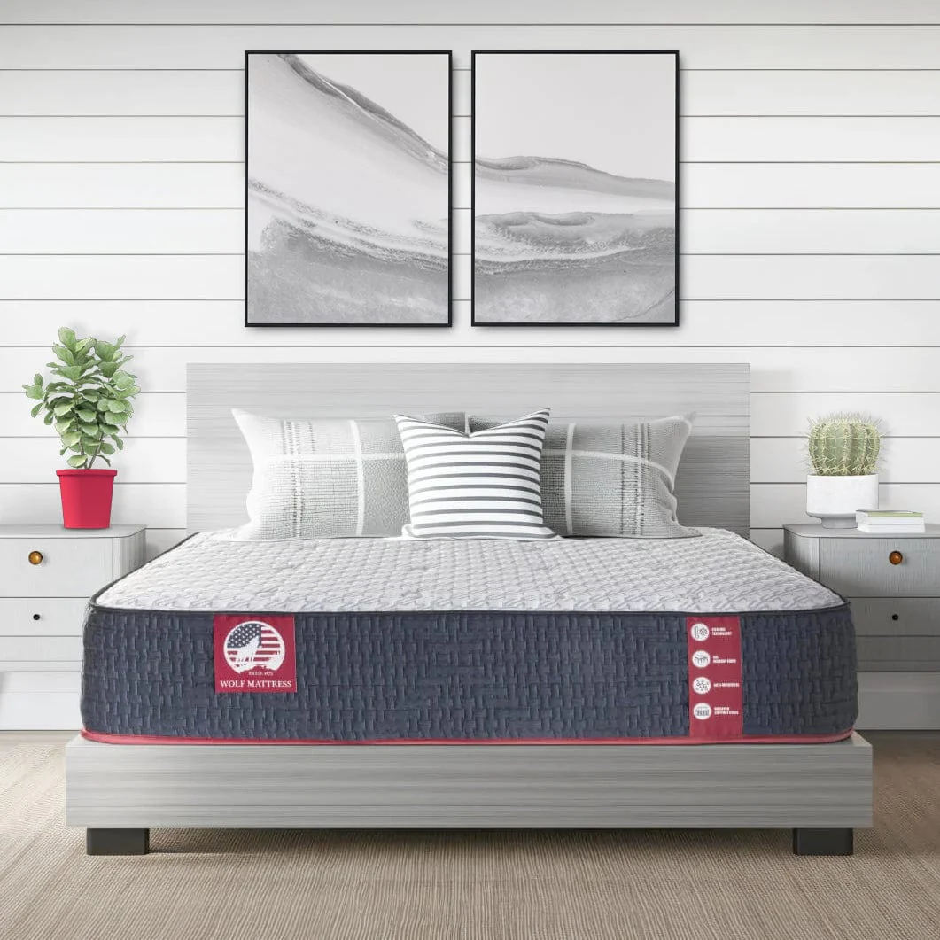 Wolf Mattress Twin 11-Inch Luna Memory Foam Hybrid Mattress, Plush Comfort, Medium Firm, Cool Touch, Anti-Microbial w/ Pocketed Coil System