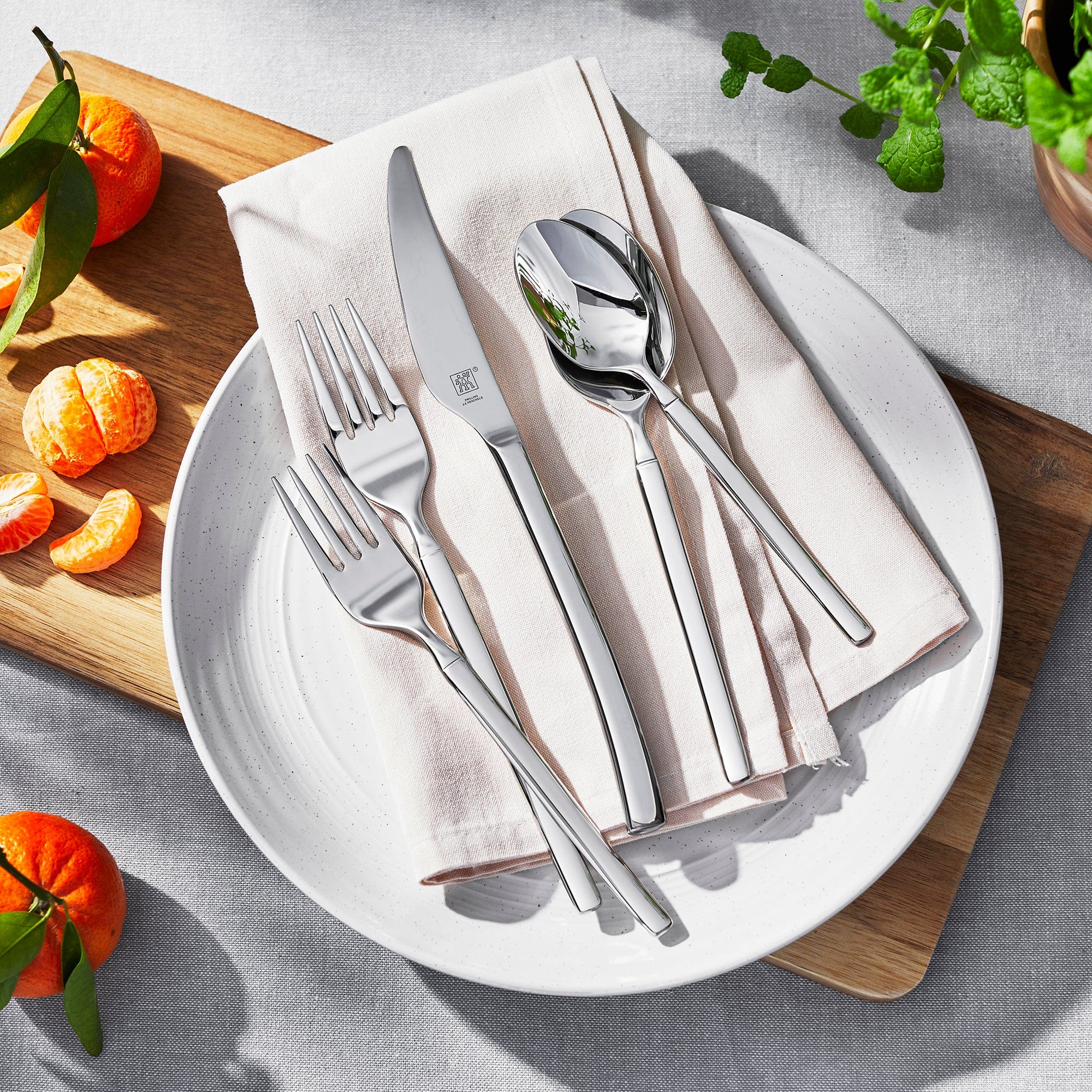 Zwilling Opus 45-Piece Flatware Set - Image 4